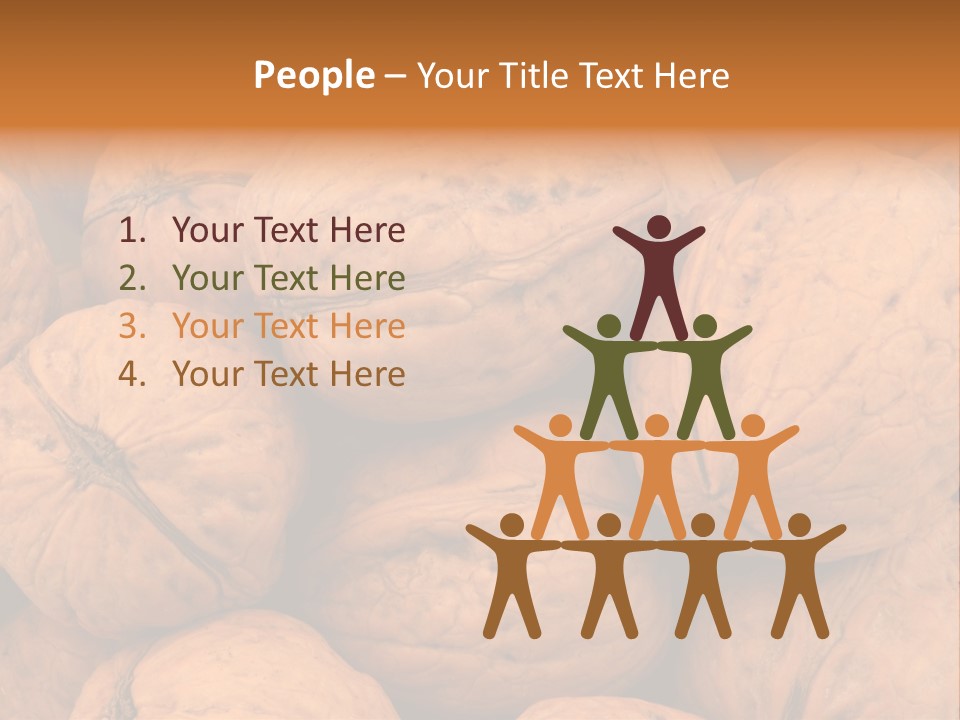 Shell Walnut Nut PowerPoint Template