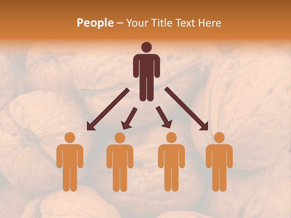 Shell Walnut Nut PowerPoint Template