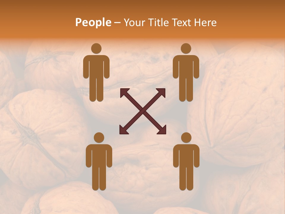 Shell Walnut Nut PowerPoint Template