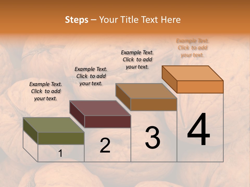 Shell Walnut Nut PowerPoint Template