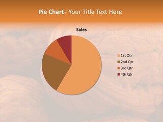 Snack Ingredient Crack PowerPoint Template