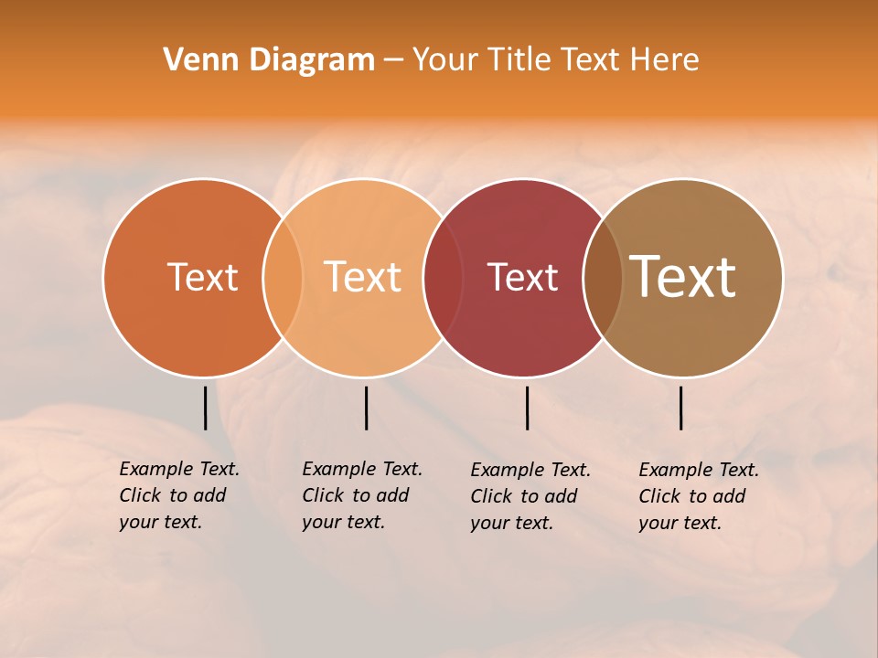 Snack Ingredient Crack PowerPoint Template