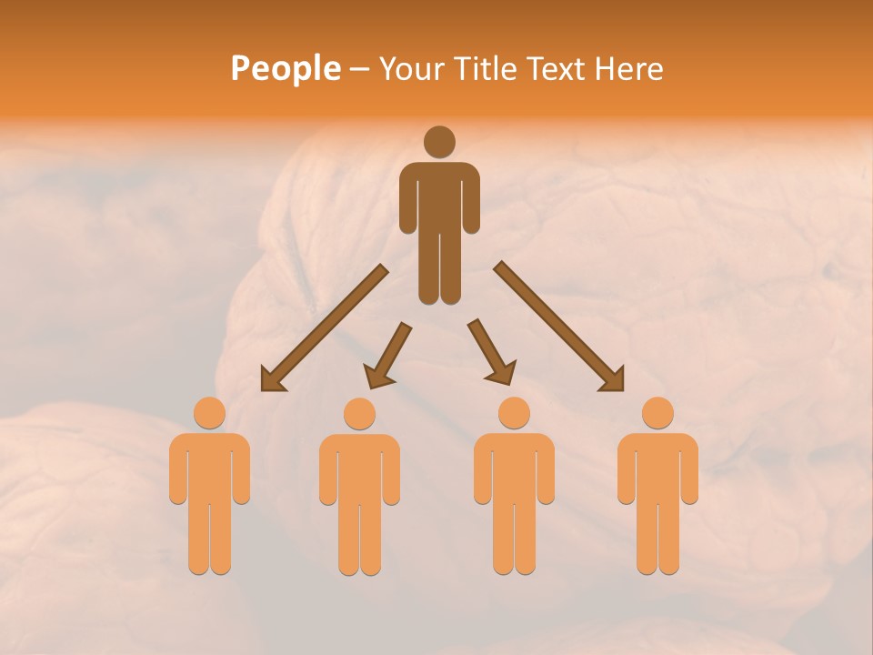 Snack Ingredient Crack PowerPoint Template