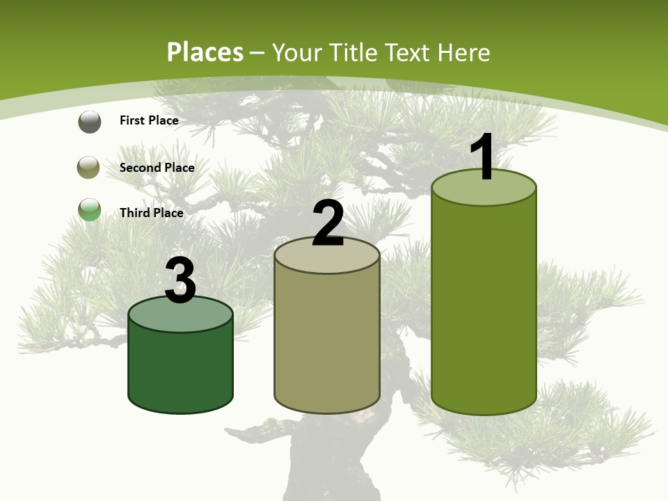 Leaf Pine Gnarled PowerPoint Template