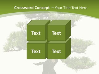 Leaf Pine Gnarled PowerPoint Template