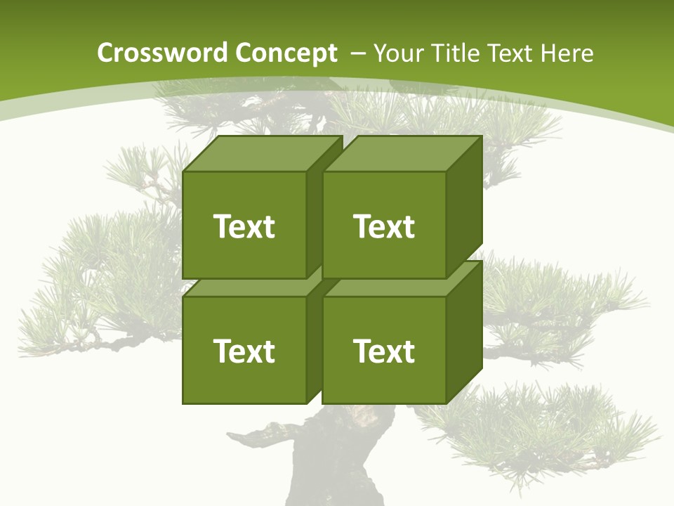 Leaf Pine Gnarled PowerPoint Template