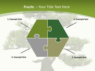 Leaf Pine Gnarled PowerPoint Template