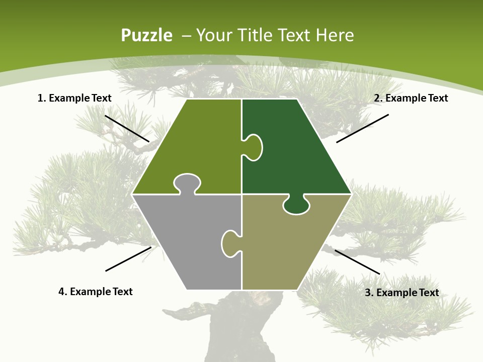 Leaf Pine Gnarled PowerPoint Template