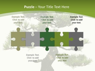 Leaf Pine Gnarled PowerPoint Template
