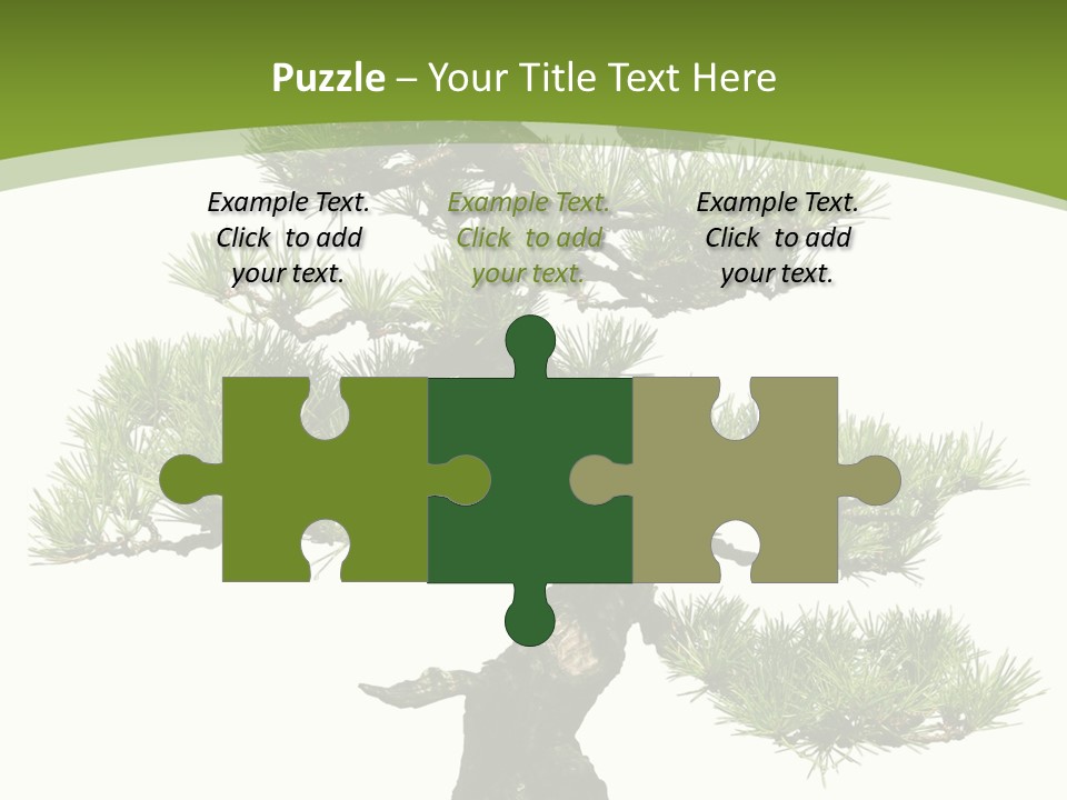 Leaf Pine Gnarled PowerPoint Template