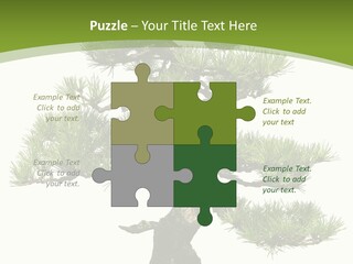 Leaf Pine Gnarled PowerPoint Template