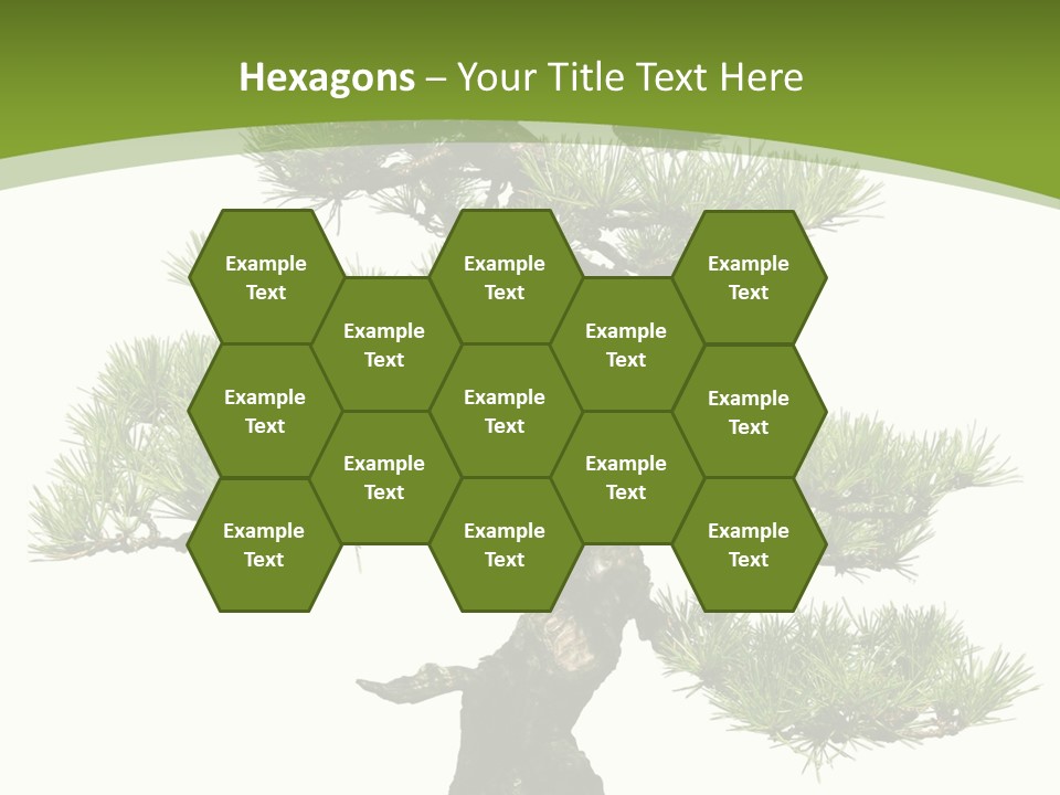 Leaf Pine Gnarled PowerPoint Template