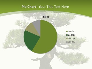 Leaf Pine Gnarled PowerPoint Template