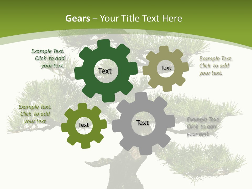 Leaf Pine Gnarled PowerPoint Template