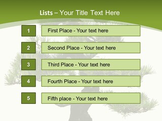 Leaf Pine Gnarled PowerPoint Template