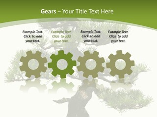 Leaf Pine Gnarled PowerPoint Template