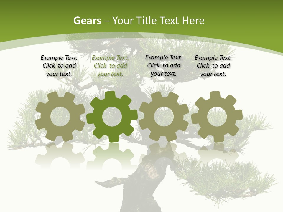 Leaf Pine Gnarled PowerPoint Template