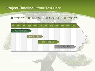 Leaf Pine Gnarled PowerPoint Template