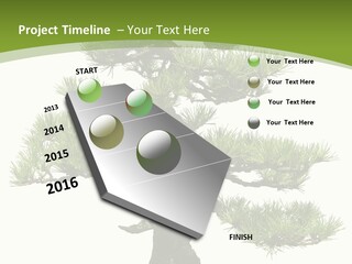 Leaf Pine Gnarled PowerPoint Template