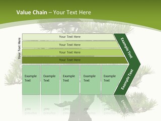 Leaf Pine Gnarled PowerPoint Template