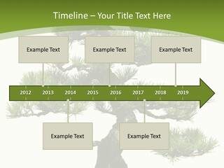 Leaf Pine Gnarled PowerPoint Template