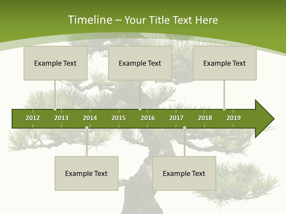 Leaf Pine Gnarled PowerPoint Template