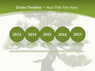 Leaf Pine Gnarled PowerPoint Template