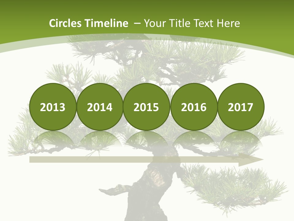 Leaf Pine Gnarled PowerPoint Template