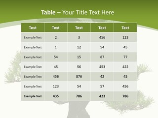 Leaf Pine Gnarled PowerPoint Template