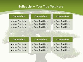 Leaf Pine Gnarled PowerPoint Template