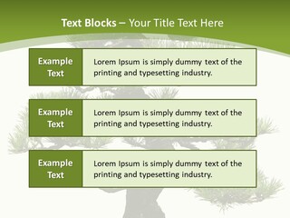 Leaf Pine Gnarled PowerPoint Template