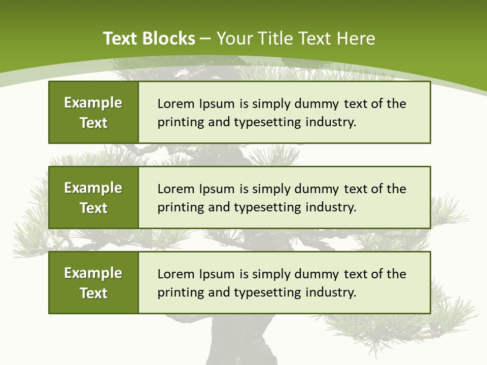 Leaf Pine Gnarled PowerPoint Template