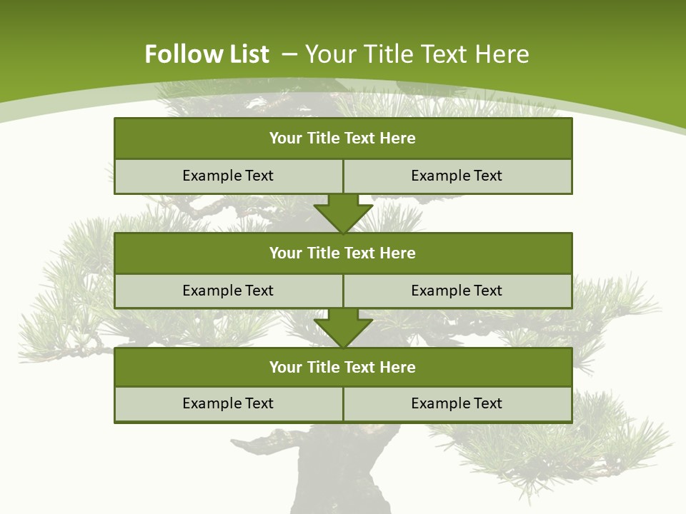 Leaf Pine Gnarled PowerPoint Template