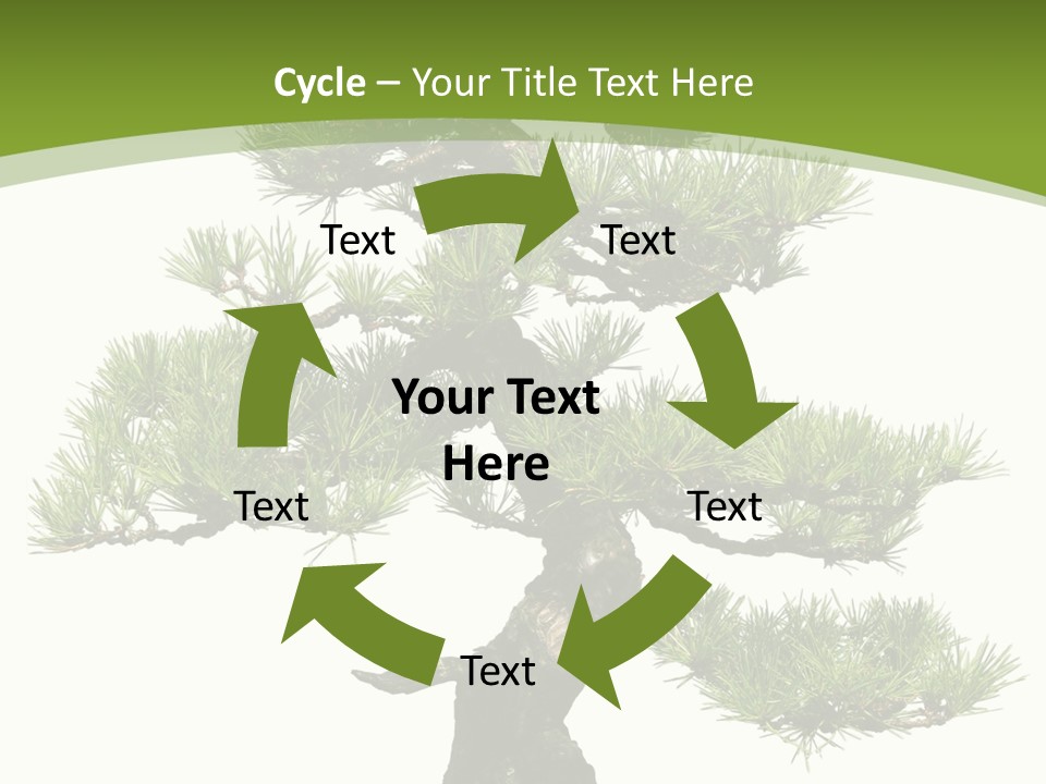 Leaf Pine Gnarled PowerPoint Template