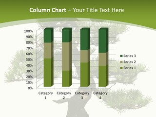 Leaf Pine Gnarled PowerPoint Template