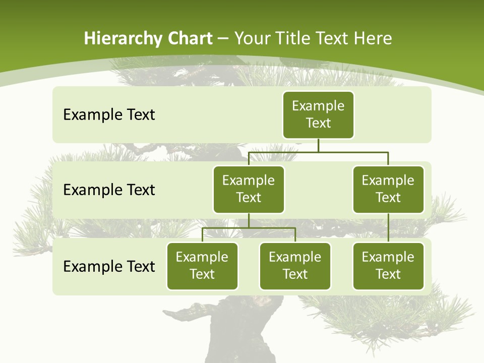 Leaf Pine Gnarled PowerPoint Template