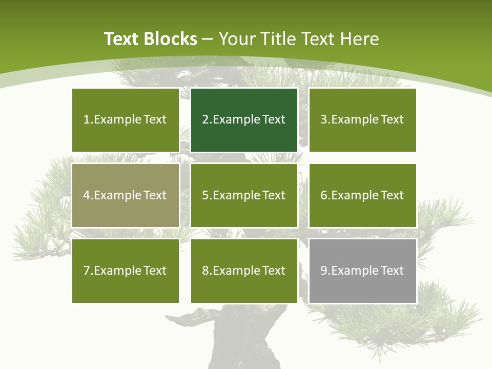 Leaf Pine Gnarled PowerPoint Template