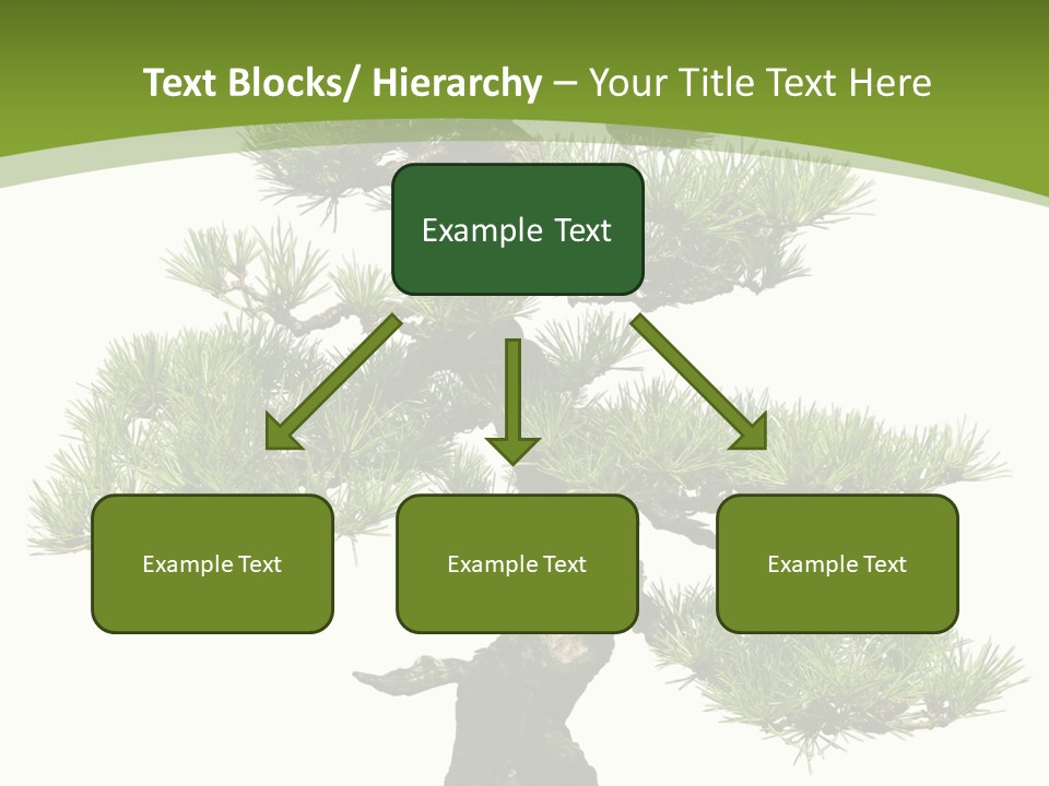 Leaf Pine Gnarled PowerPoint Template