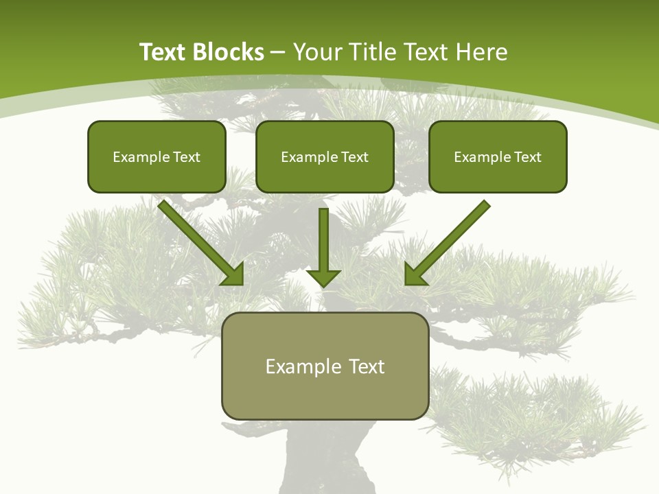 Leaf Pine Gnarled PowerPoint Template