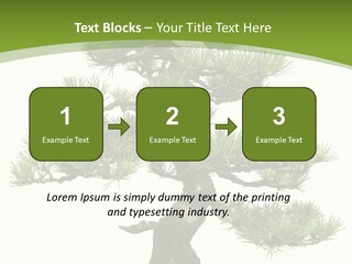 Leaf Pine Gnarled PowerPoint Template