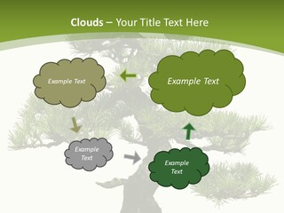 Leaf Pine Gnarled PowerPoint Template