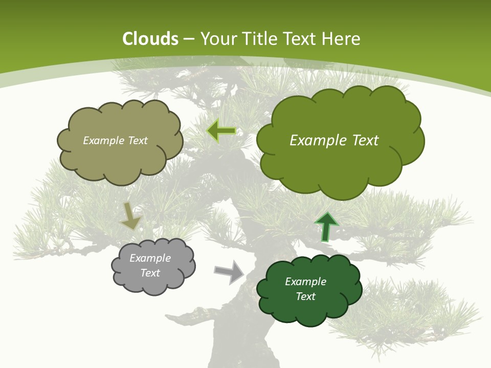 Leaf Pine Gnarled PowerPoint Template