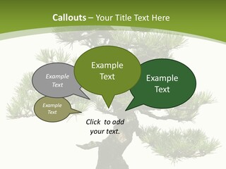 Leaf Pine Gnarled PowerPoint Template