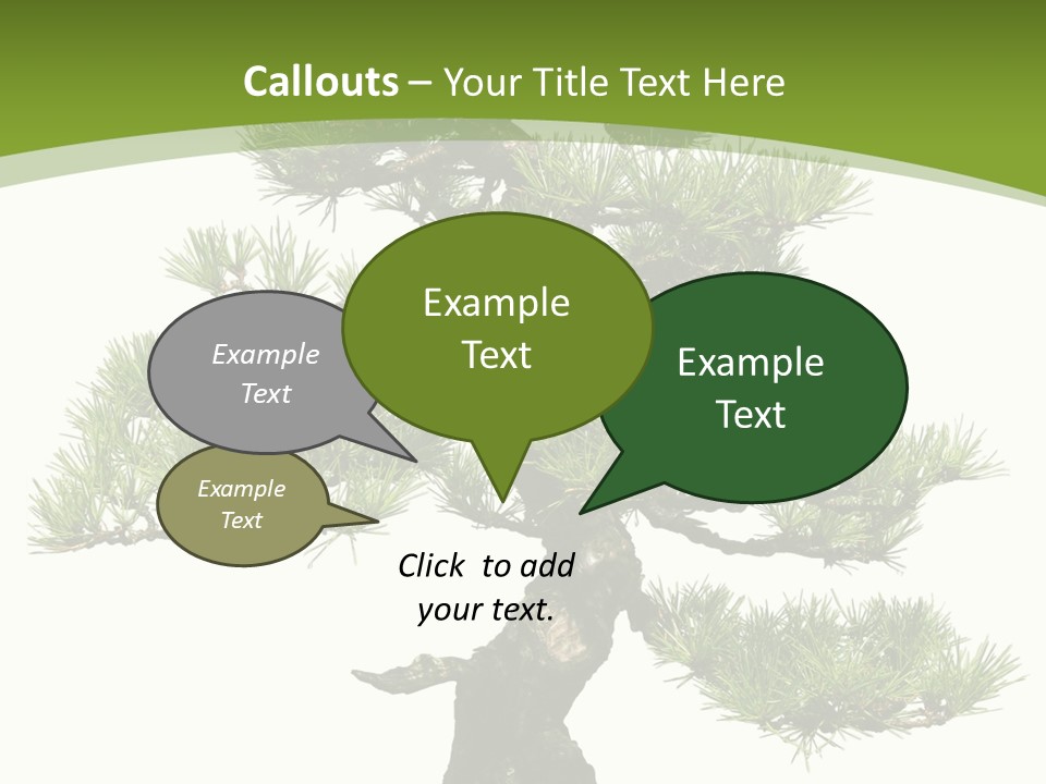 Leaf Pine Gnarled PowerPoint Template