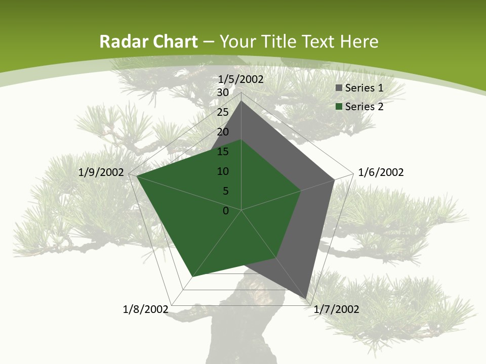 Leaf Pine Gnarled PowerPoint Template