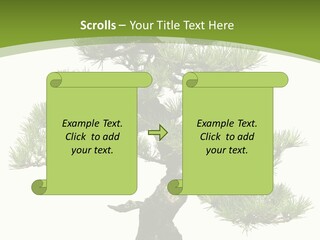 Leaf Pine Gnarled PowerPoint Template
