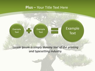 Leaf Pine Gnarled PowerPoint Template