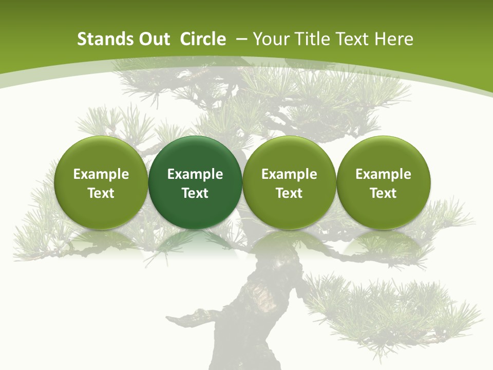 Leaf Pine Gnarled PowerPoint Template