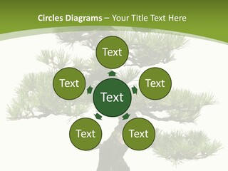 Leaf Pine Gnarled PowerPoint Template