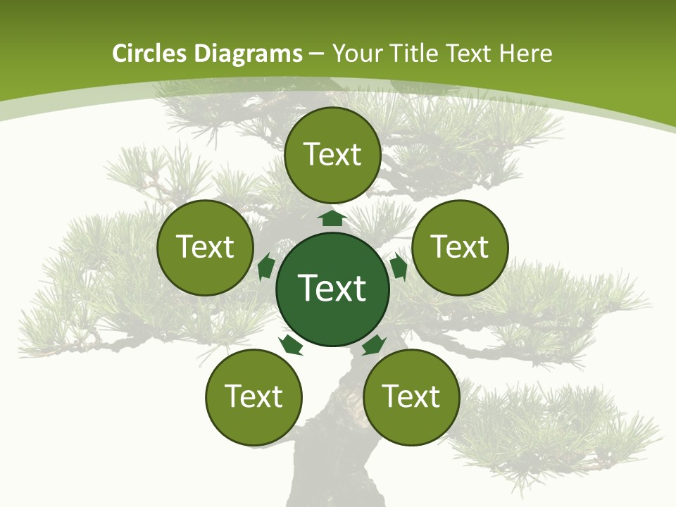 Leaf Pine Gnarled PowerPoint Template